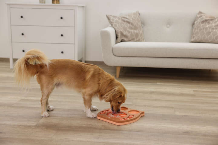 KERBL Lernspielzeug Eule